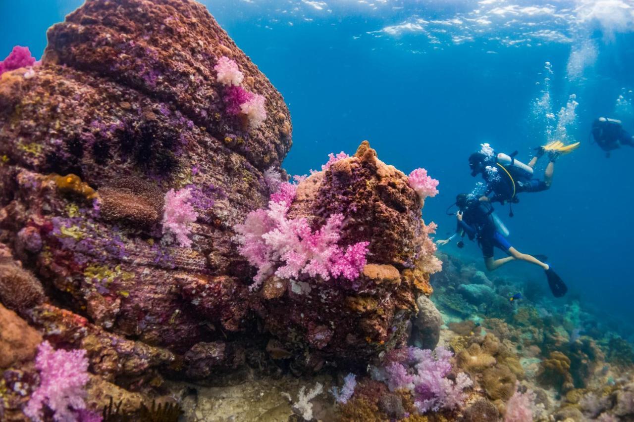 Forra Dive Sunrise Beach Koh Lipe