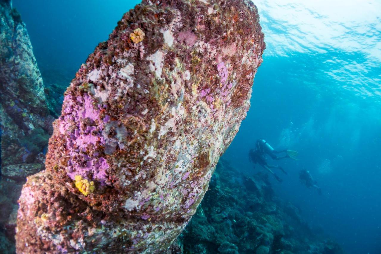 Forra Dive Sunrise Beach