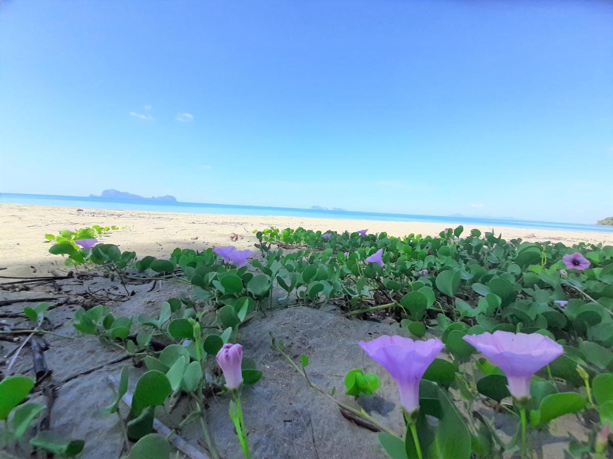 Resort Cameron Island Ko Sukon