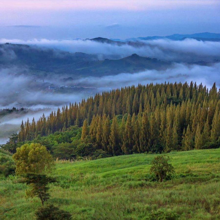 Pason Resort Khao Kho