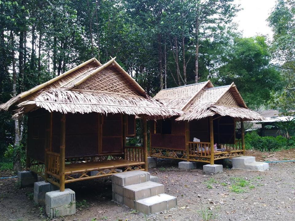 Resort Khai Jungle Experience *