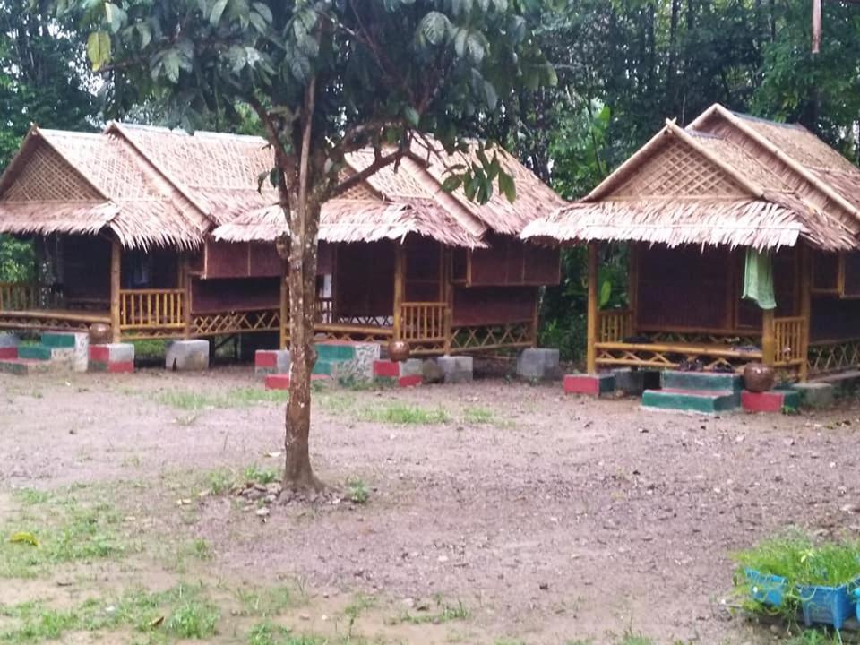 Khai Jungle Experience Resort