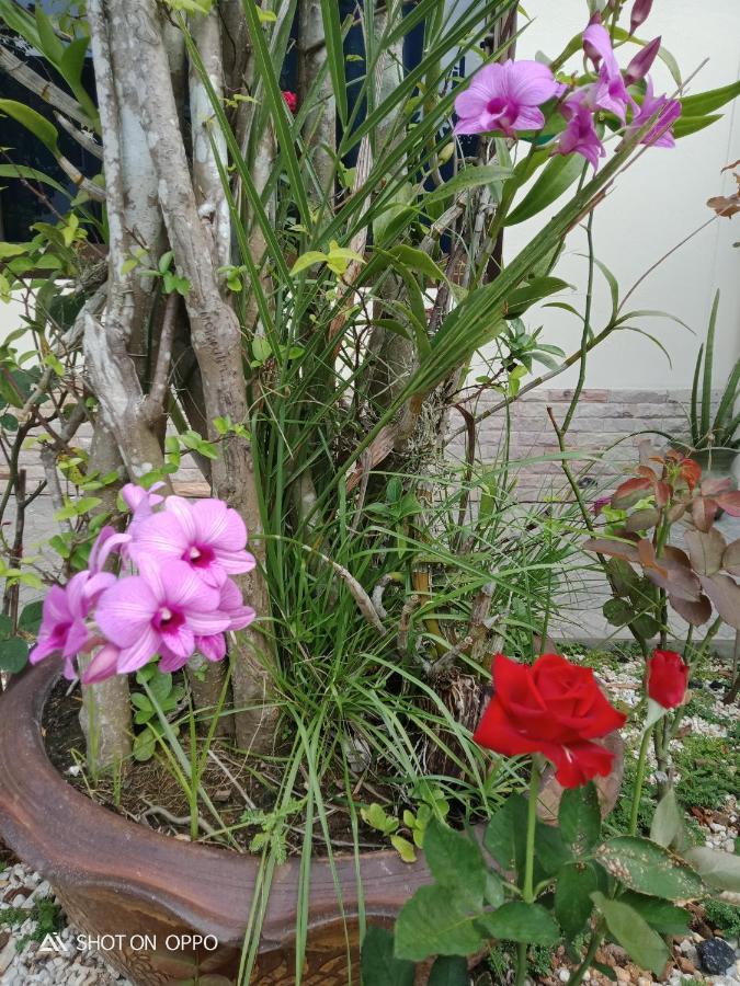 Mountain View Guest house