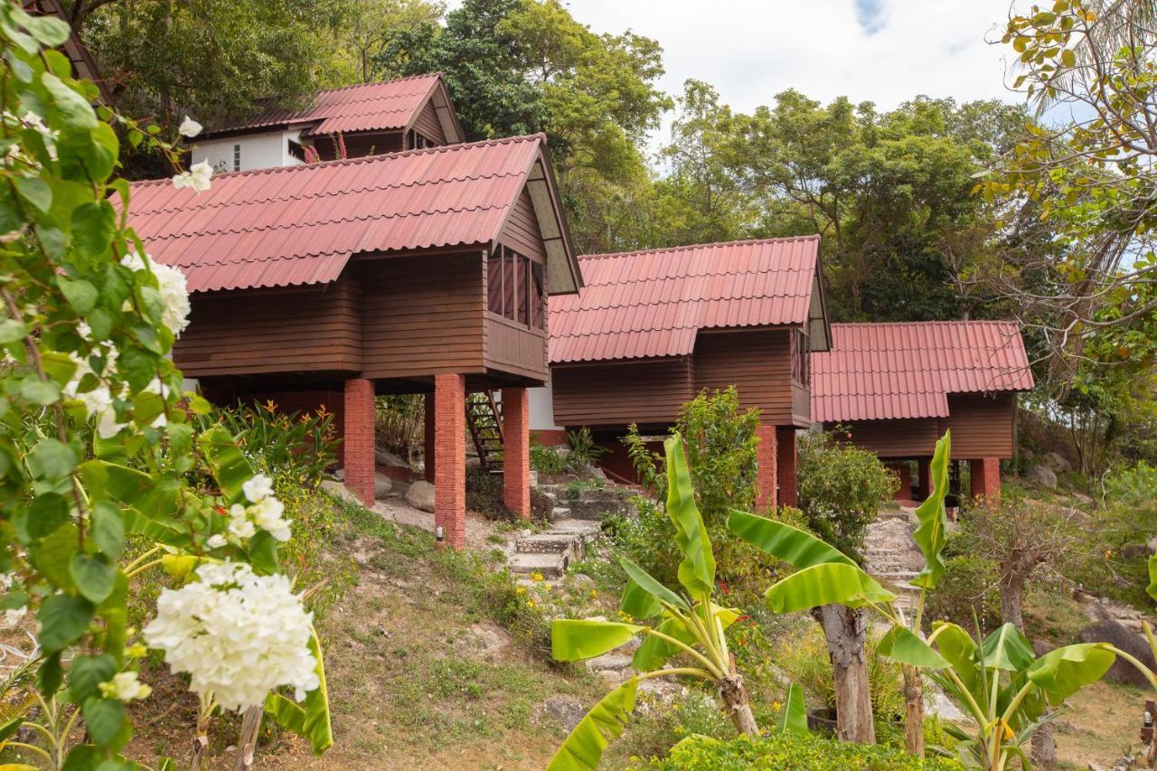 Resort Coral View 3*