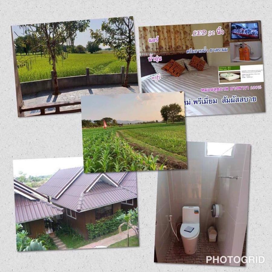 ร่มไม้สายธาร Resort