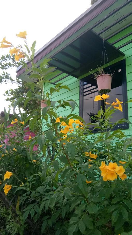 4 Seasons Mini House Resort