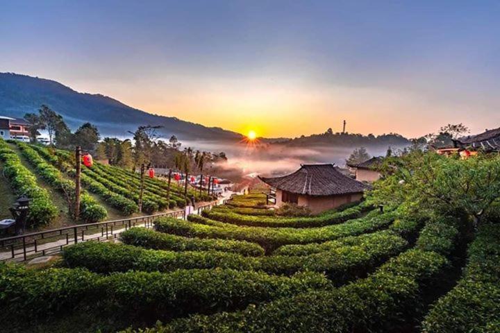 Farm stay Lee Wine Ruk Thai