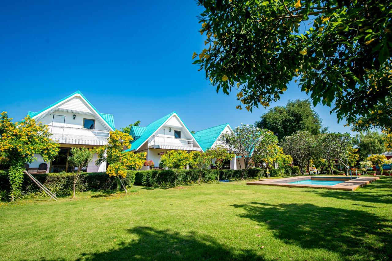 Dreampark Resort