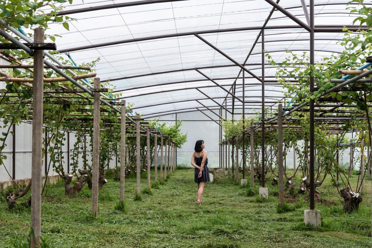 Bansaeo Garden And 4* Chiang Saen