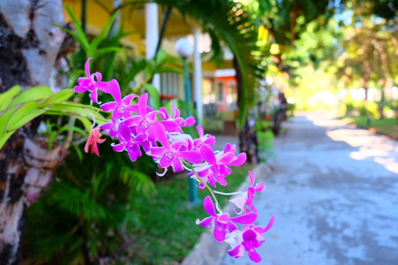New Travel & Resort
