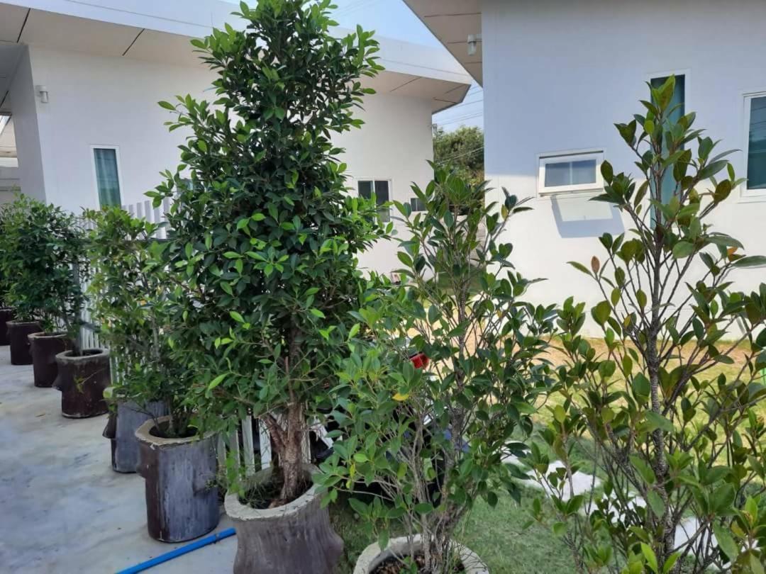 Casa de hóspedes Pon Ban Phe