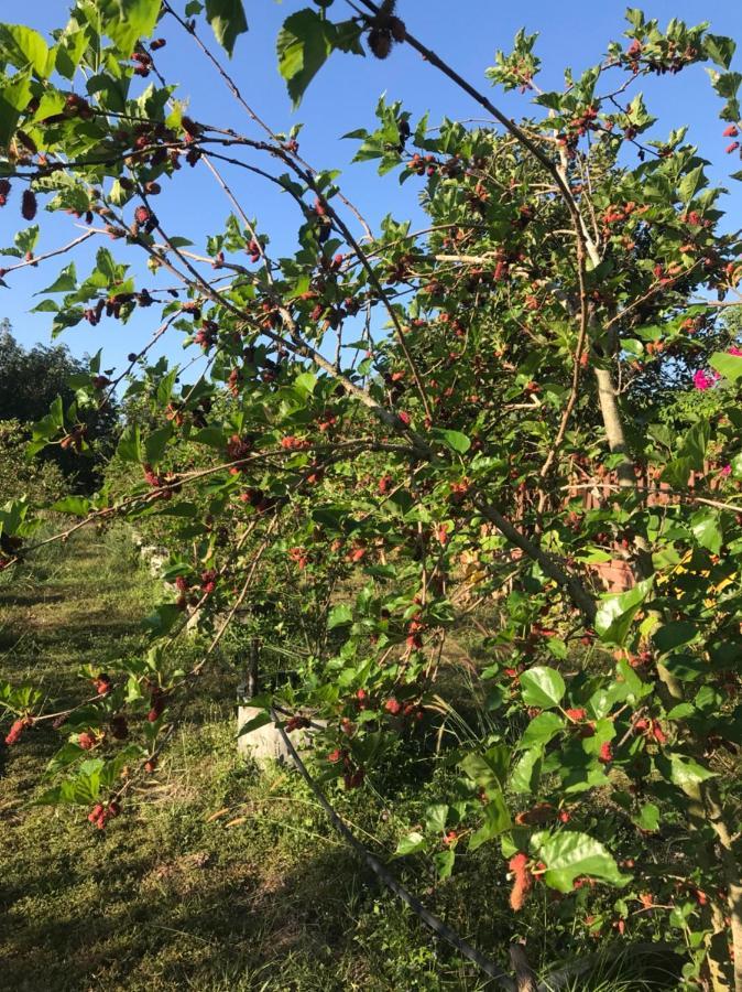 Meecheewa Garden *