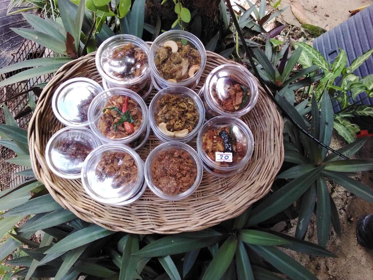 Khai Jungle Experience *