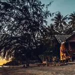 Bird Bungalows