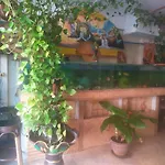 Artem\'s Guesthouse