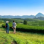 Pa Sak Tong