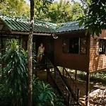 Our Jungle House