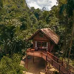 Our Jungle House