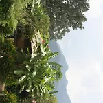 Good Morning Pai