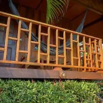 Pai Homey