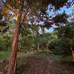 The Wild Side
