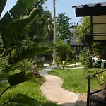 Lucky Gecko Garden