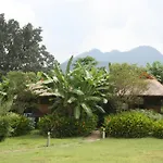 Good Morning Pai