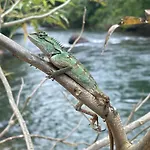 Khaosok Rainforest Resort