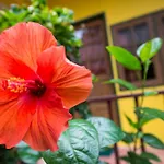 Janrassamee Home Stay