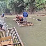 The Liveliwoods