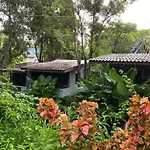 Shaya Resort