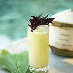 Explorar Koh Phangan - Adults Only Resort And Spa