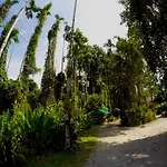 Khao Sok Morning Mist Resort