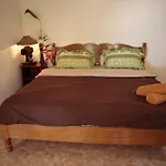 Jungle Hut Bungalows & Hotel