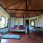 The Lookout Pai