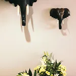 Sleep Easy Krabi Guest House
