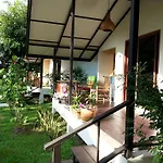 Lucky Gecko Garden
