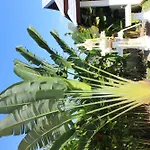Villa Colina Khao Lak Rooms And Bungalows - Adults Only