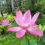 Royal Phawadee Village Patong - 2 Minutes Walk To The Beach