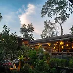 Rock And Tree House Resort