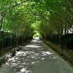 Twin Lotus Resort And Spa - Sha Plus - Adult Only \