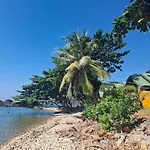 Paradise Palms