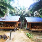 Khao Sok Palmview Resort