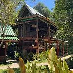 Our Jungle House