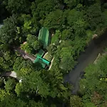 Our Jungle House