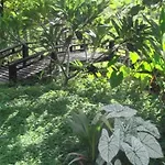 Aqua Resort Pai