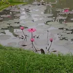 Aqua Resort Pai