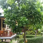 Dreamland Resort