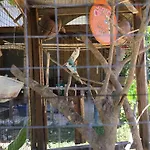 Klong Khong Garden