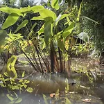 Garden Of Joy
